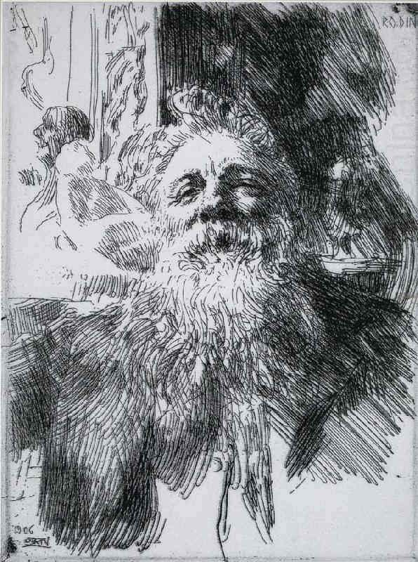 Auguste Rodin, Anders Zorn